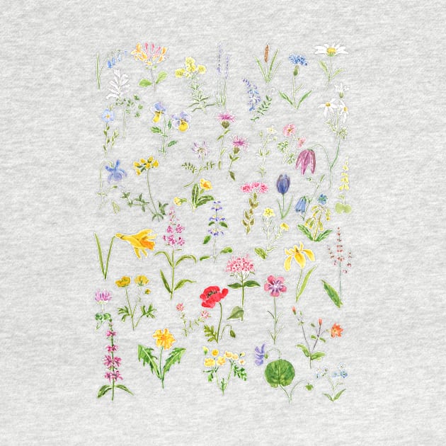 botanical colorful countryside wildflowers watercolor painting by colorandcolor